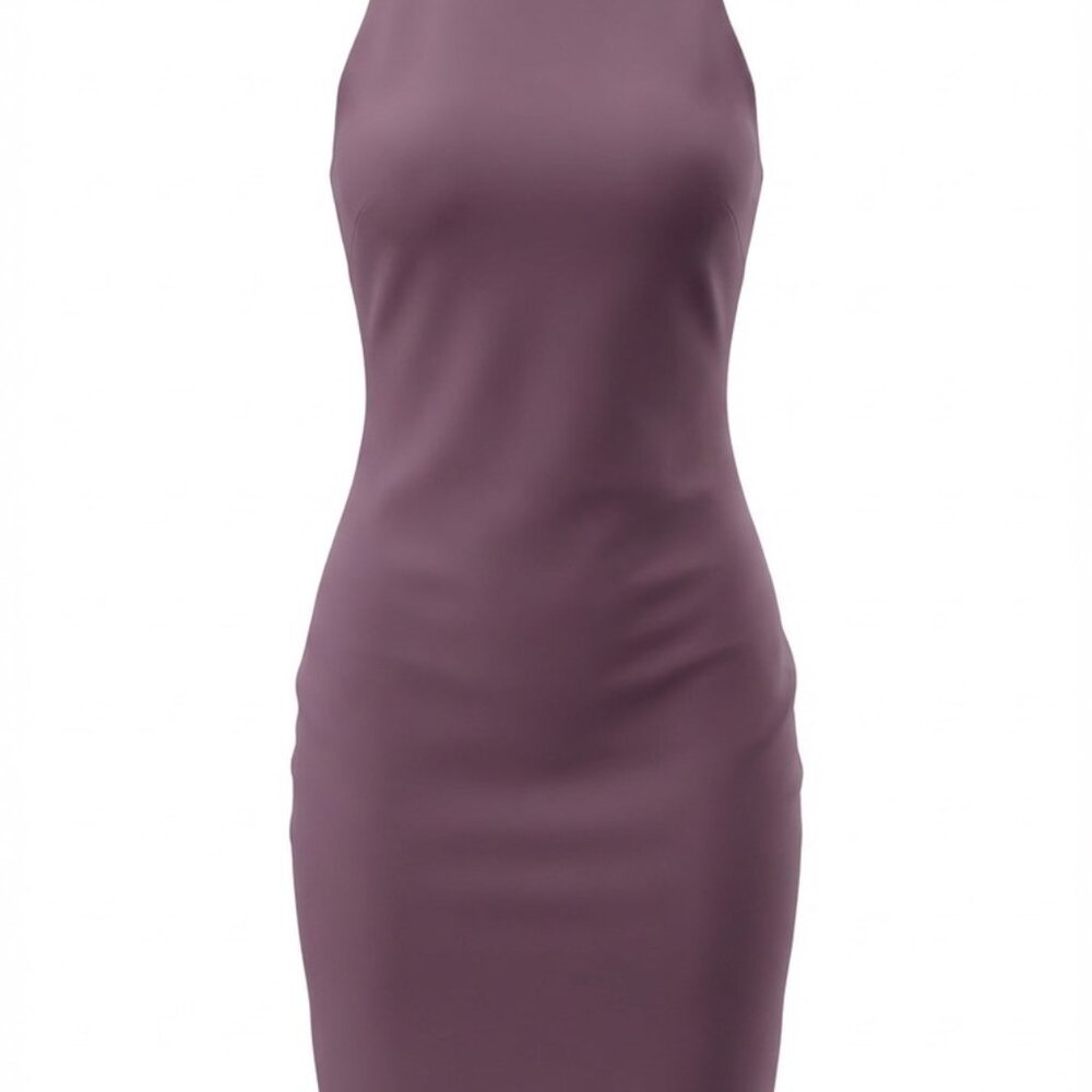 NWT Elizabeth and James Bodycon Womens Size 8 Sheath Dress Mauve/Dusty Rose Knee
